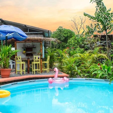 Cacao Lodge And Tours ラ・フォルトゥナ エクステリア 写真