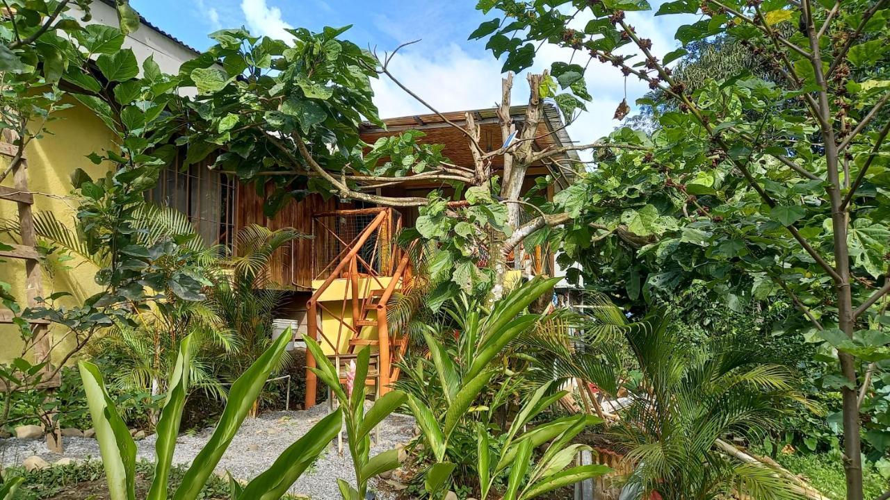 Cacao Lodge And Tours ラ・フォルトゥナ エクステリア 写真