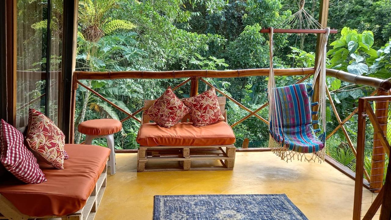 Cacao Lodge And Tours ラ・フォルトゥナ エクステリア 写真