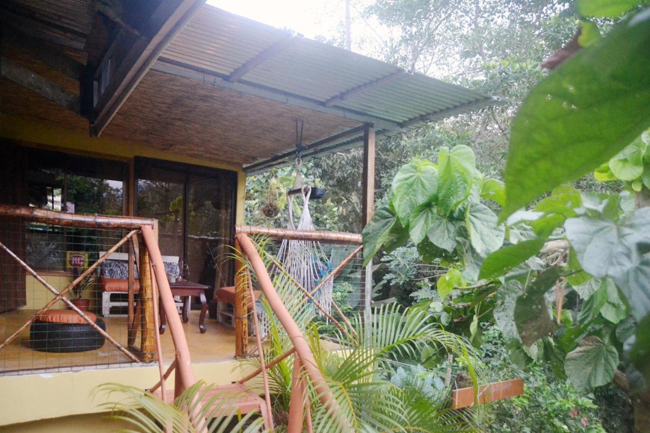 Cacao Lodge And Tours ラ・フォルトゥナ エクステリア 写真