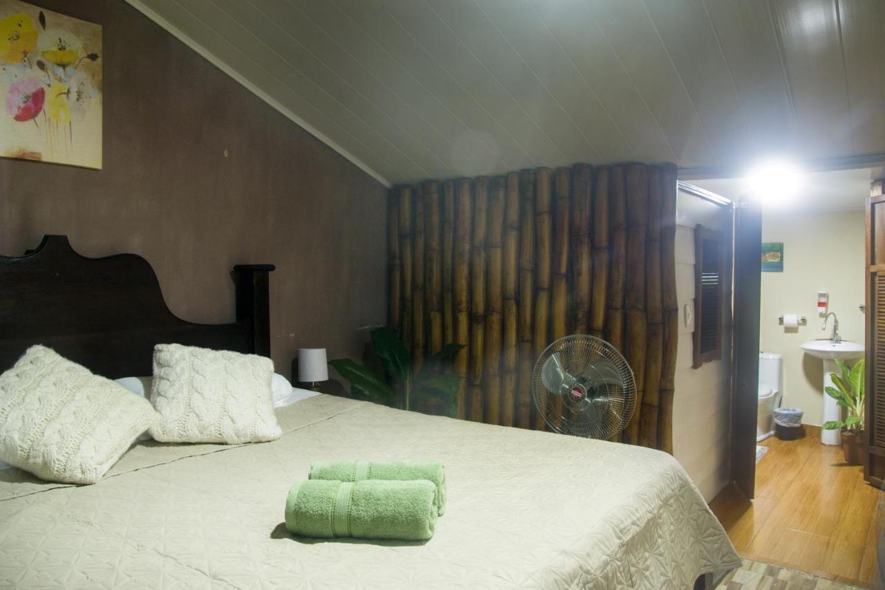 Cacao Lodge And Tours ラ・フォルトゥナ エクステリア 写真