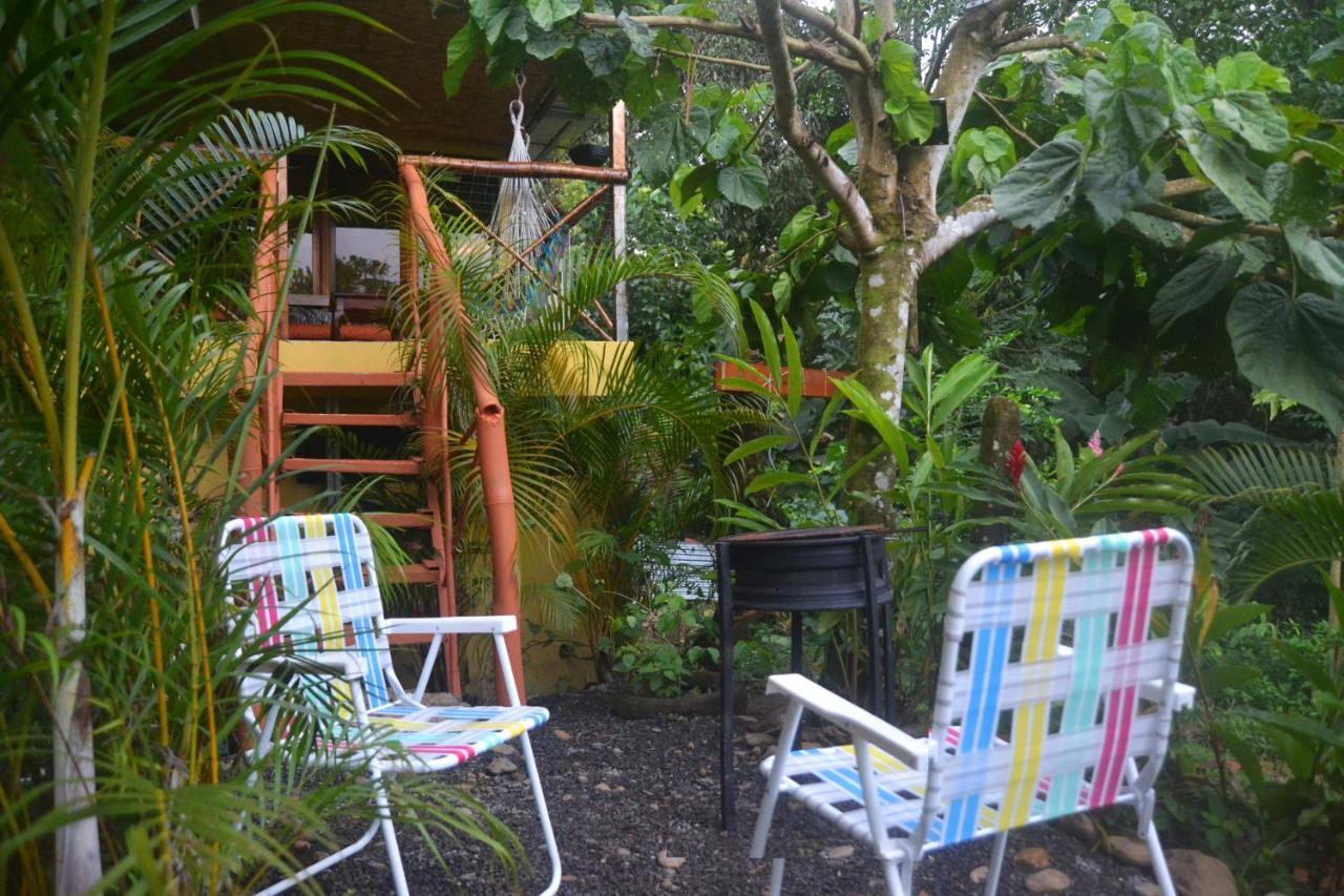 Cacao Lodge And Tours ラ・フォルトゥナ エクステリア 写真