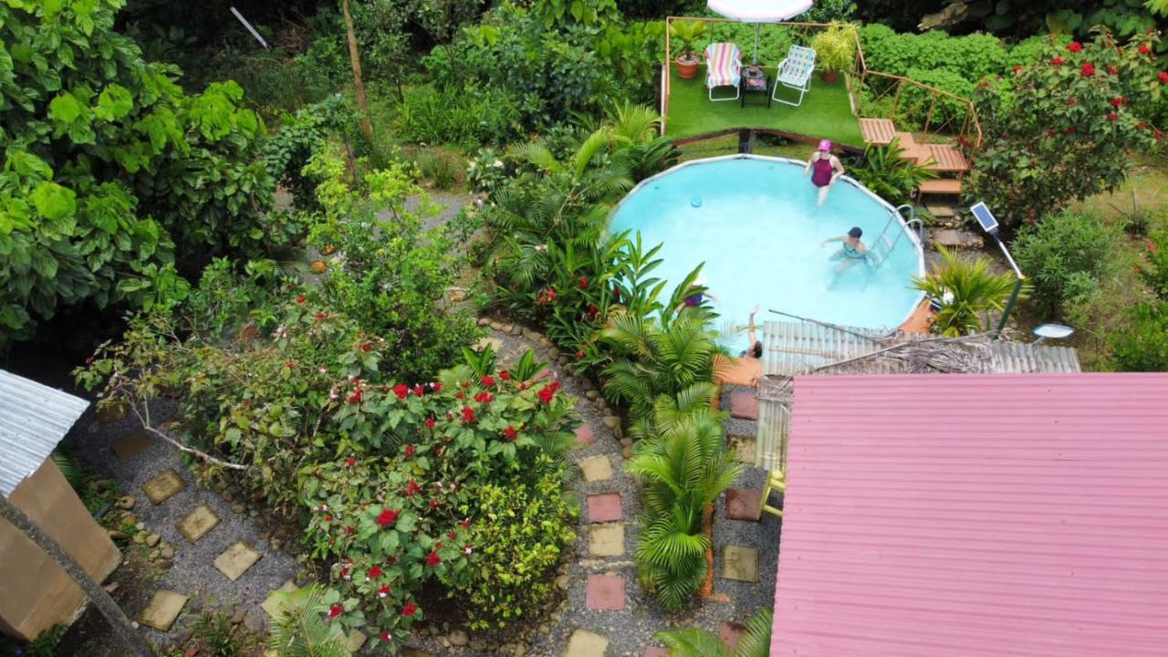 Cacao Lodge And Tours ラ・フォルトゥナ エクステリア 写真