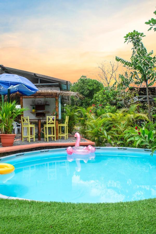 Cacao Lodge And Tours ラ・フォルトゥナ エクステリア 写真