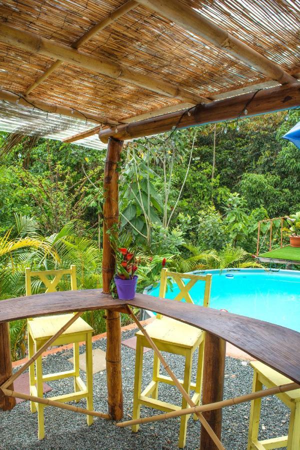 Cacao Lodge And Tours ラ・フォルトゥナ エクステリア 写真