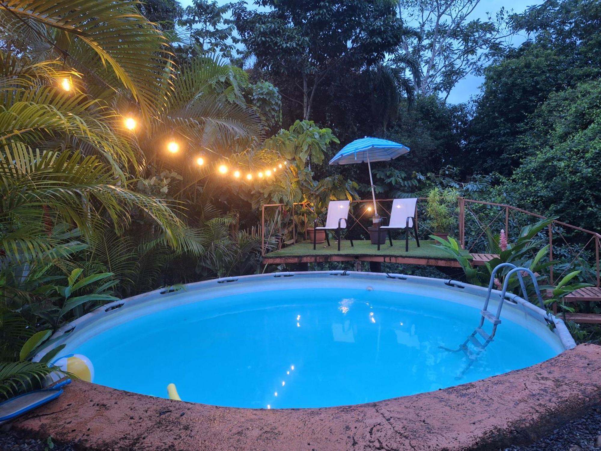 Cacao Lodge And Tours ラ・フォルトゥナ エクステリア 写真